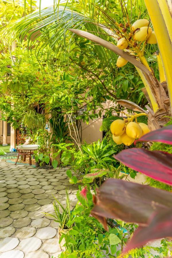Daisy Cottage دانجيثي المظهر الخارجي الصورة